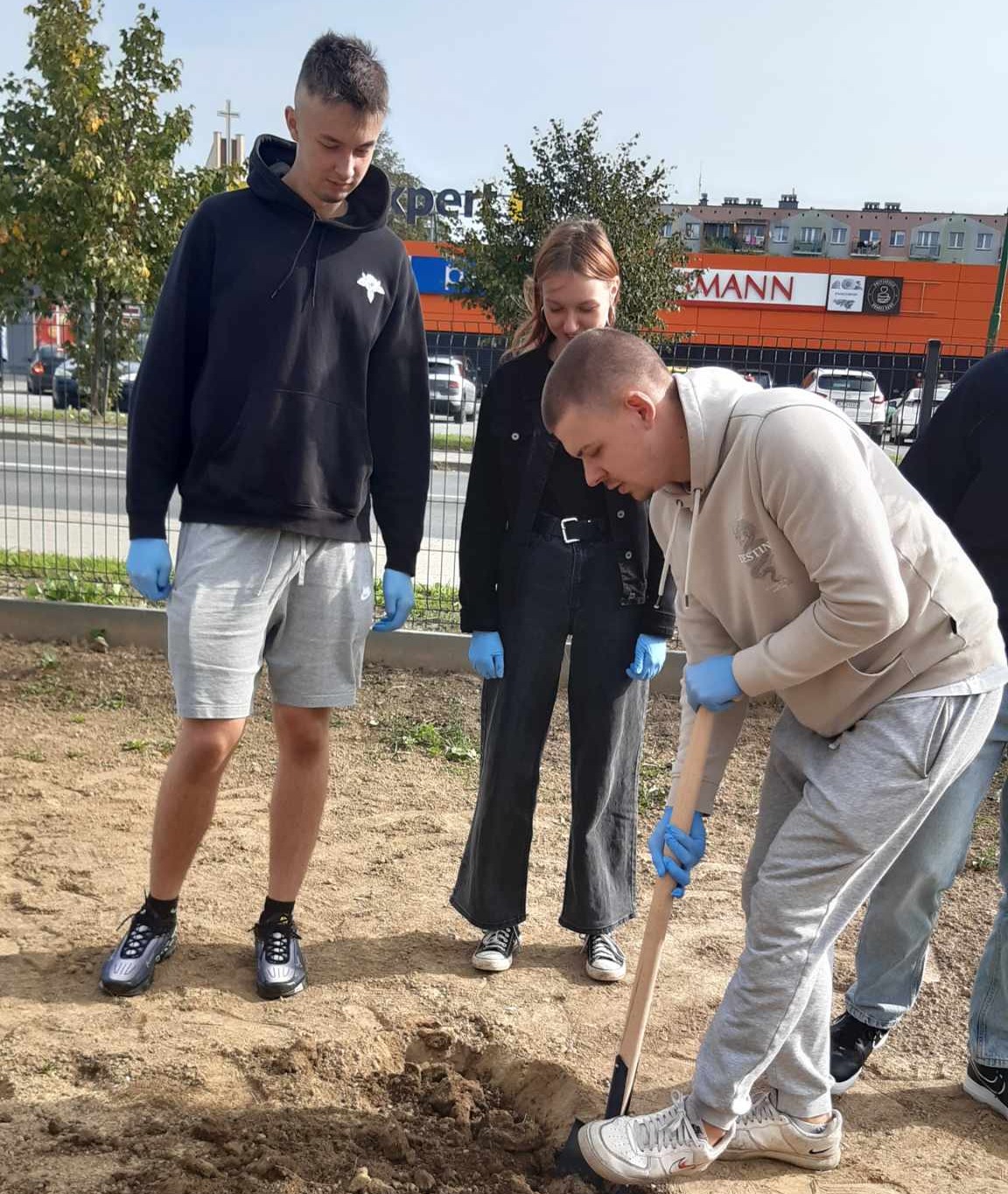 Samorząd Uczniowski sadzi żonkile!