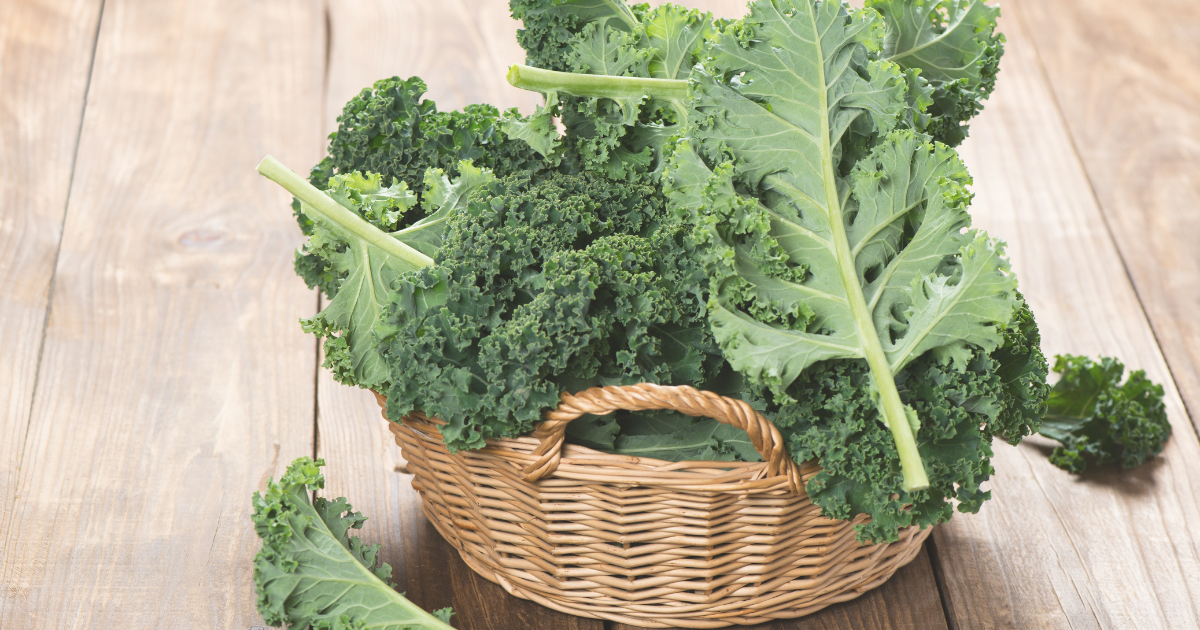 Kale Cover Image.png