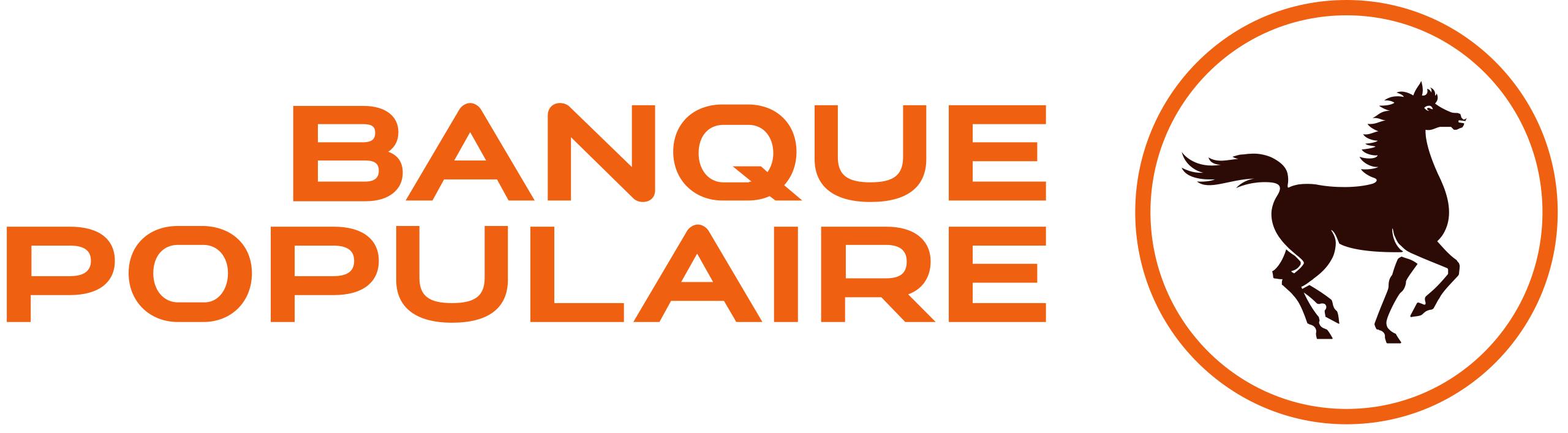 Logo Banque Populaire