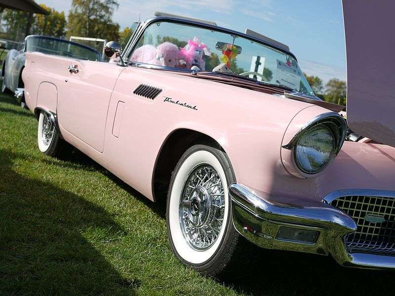 pink car show 