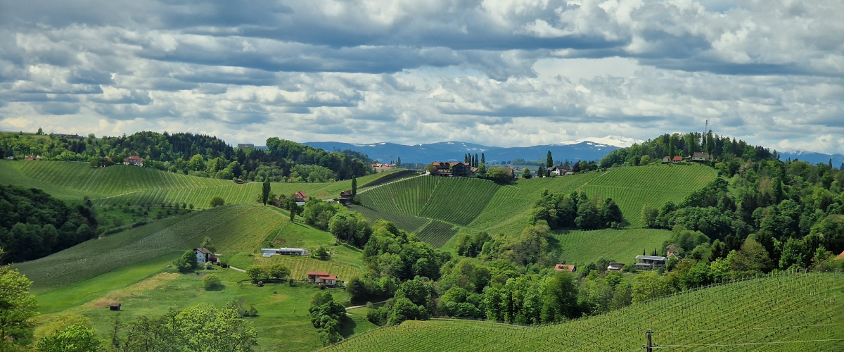 Beyond the Hills: Unveiling the Charm of Südsteiermark