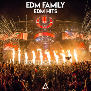 edm_family_edm_hits_spotify_playlist_free.jpeg