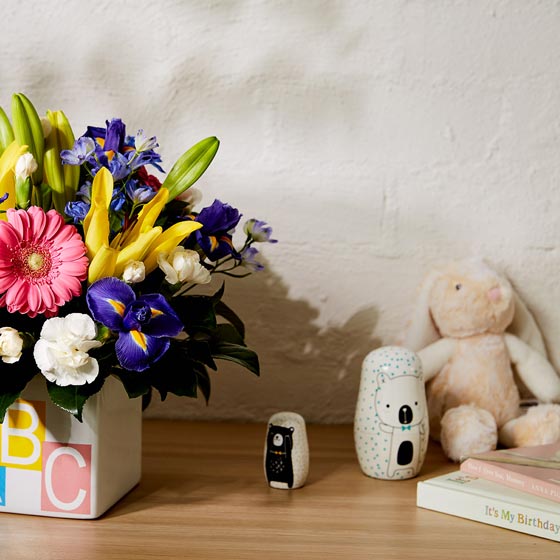 flowers and toys.jfif