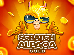 Scratch Alpaca Gold