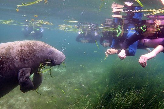 Best Florida Harvest Hosts Locations