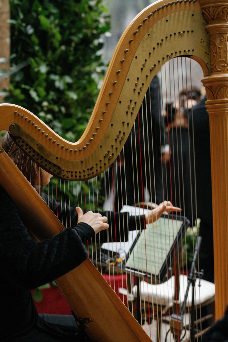 harpist plays at a wedding