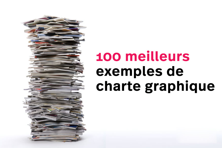 100-meilleures-charte-graphique-exemples.jpg
