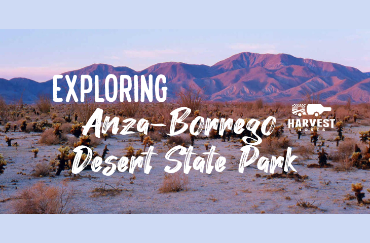 Exploring Anza-Borrego Desert State Park