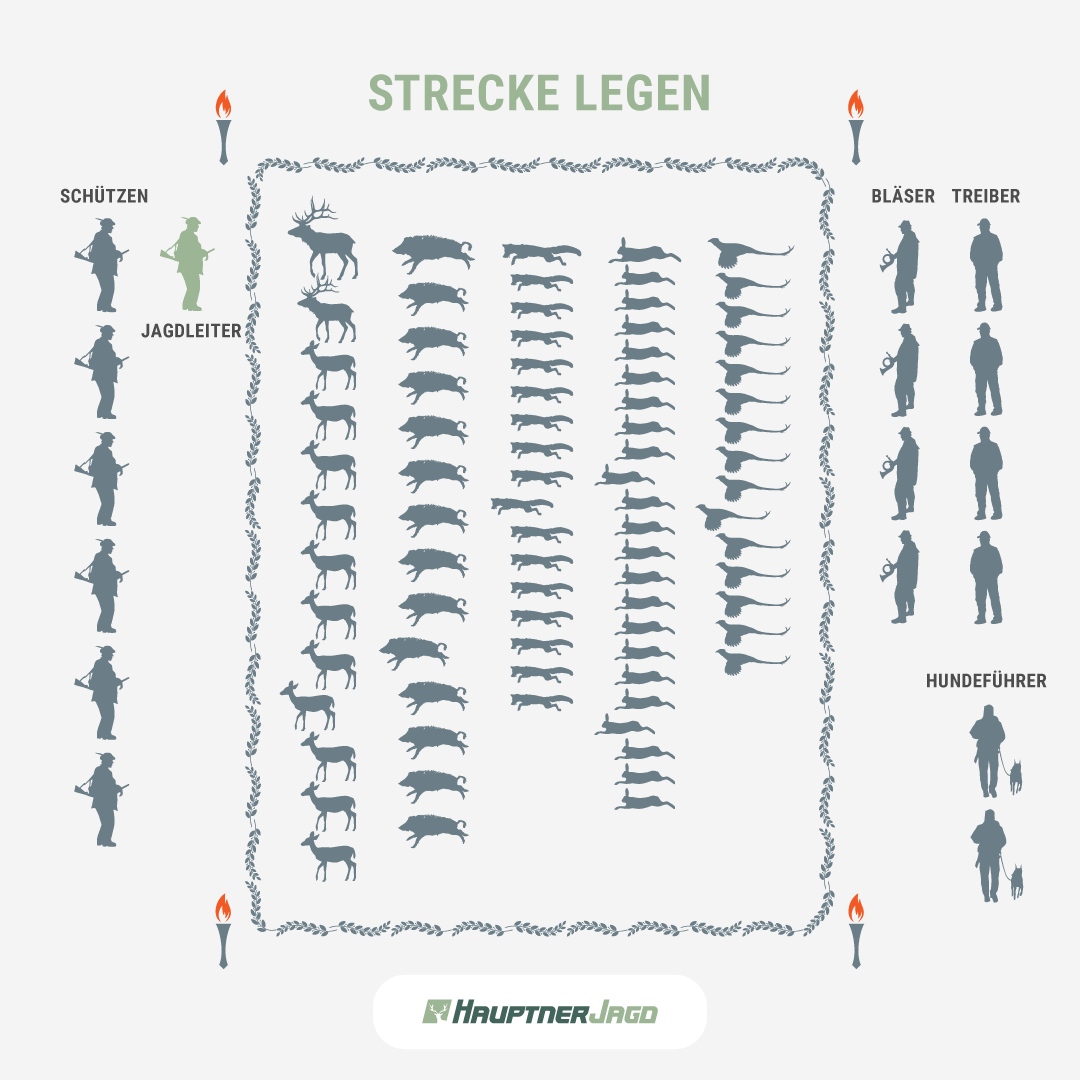 HPJ-Strecke-legen-1080x1080px.png