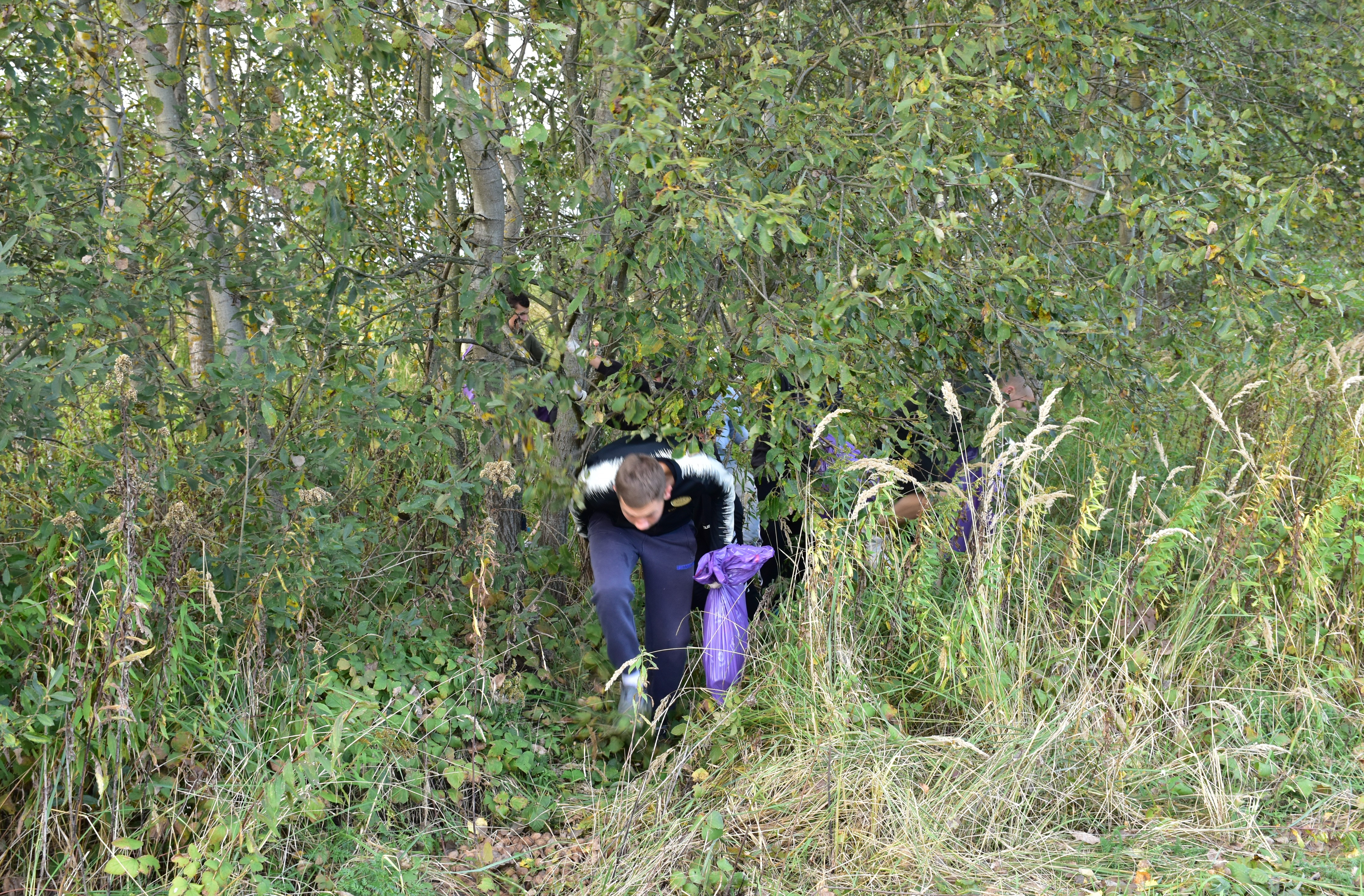 Sprzątamy dla Polski | Wychowankowie MOW przedzierają się skuleni przez bardzo gęste krzaki. Chłopiec z przodu trzyma w ręce worek na śmieci..JPG