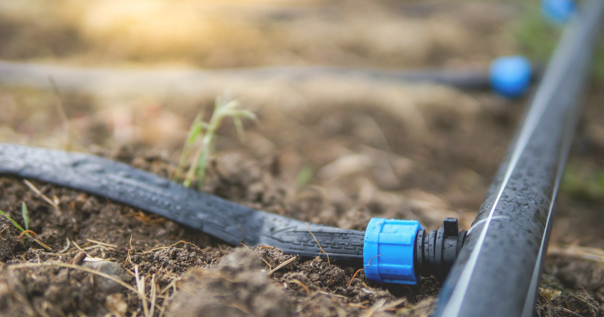 Check and Repair Irrigation Systems.png