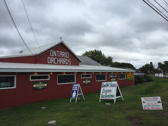 Ontario Orchards is one of our amazing Harvest Hosts locations in upstate New York.