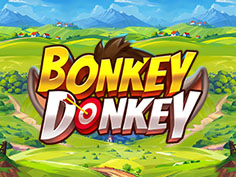Bonkey Donkey