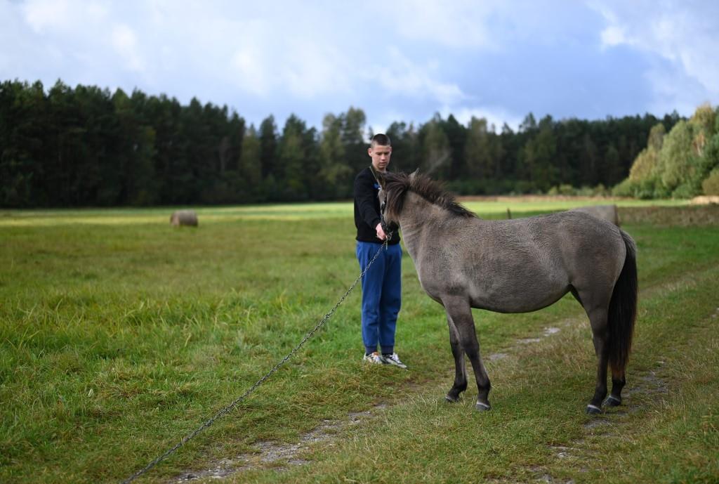 Obóz w Hucie Różanieckiej | Chłopiec stoi na łące wyciągając rękę do niskiego konika, z tyłu ciemny las..JPG