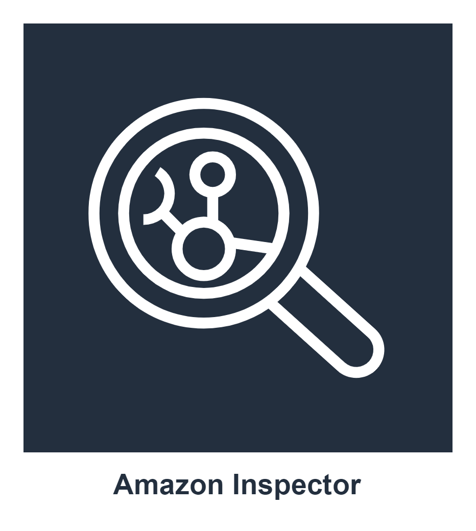 Amazon Inspector1.png