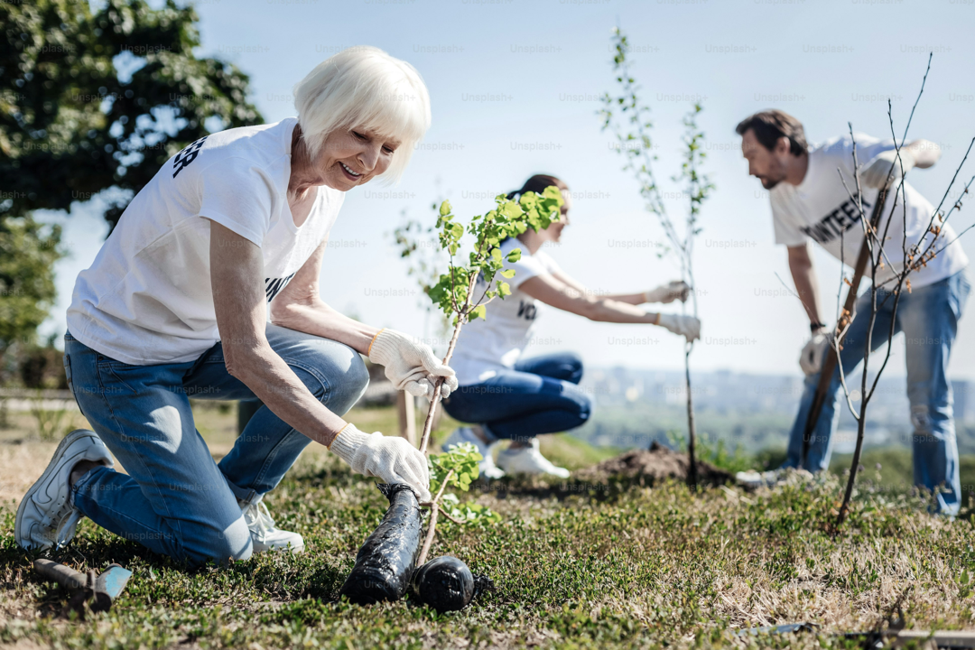 Image of volunteers planting trees