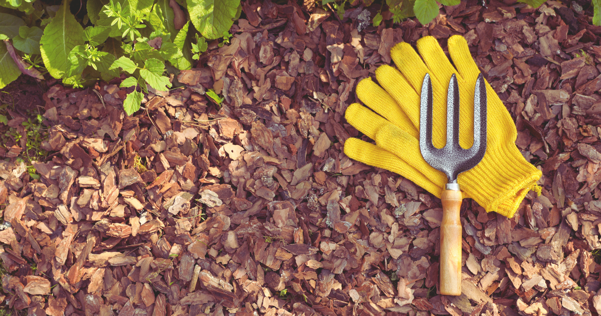 Best Mulch Materials for Heat Protection.png