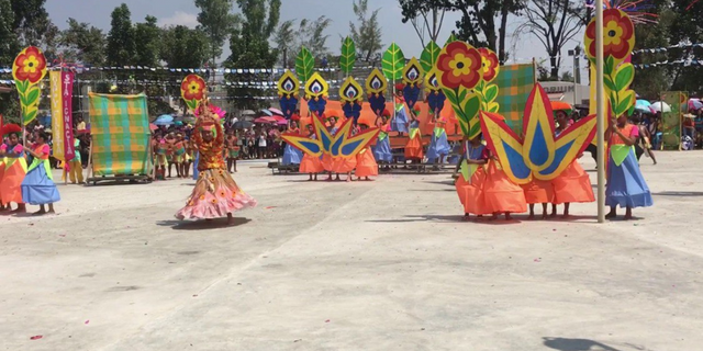 Sta. Ignacia Town Fiesta 