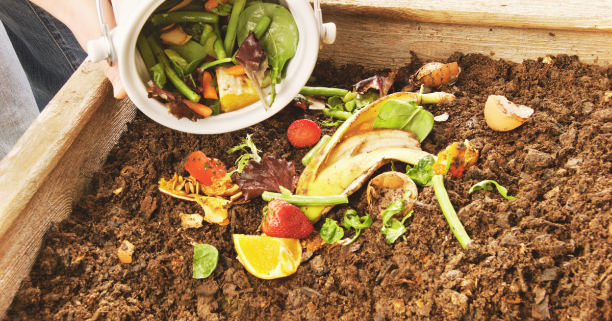 Repurpose Kitchen Scraps to Boost Soil Hydration.png