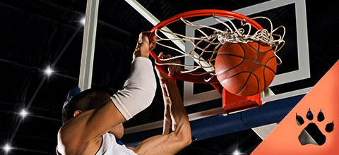 Basket Blog | News & Blog LeoVegas Sport
