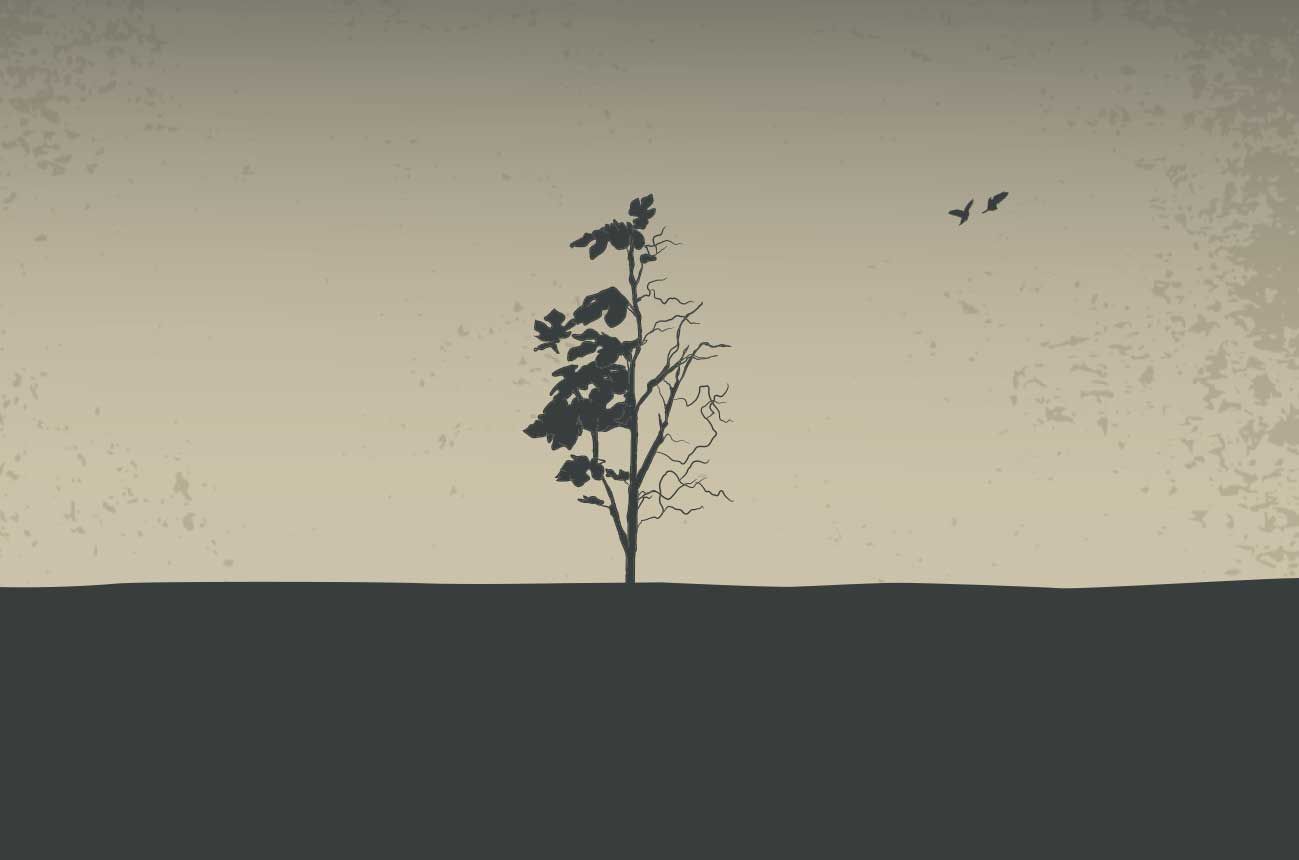 Cursed Fig Tree Torah Portions FFOZ