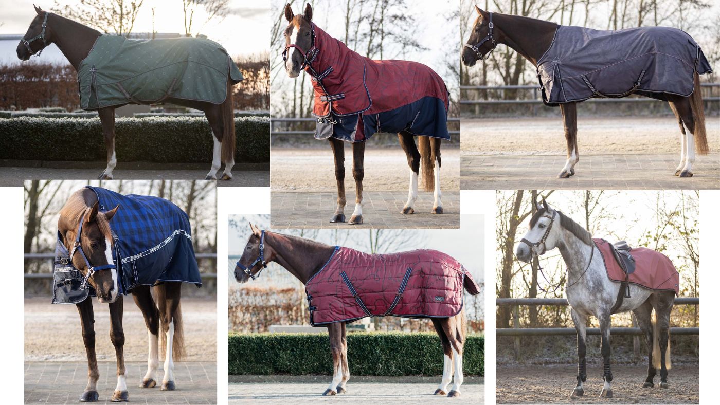 HPP_QHP Lookbook1.jpg