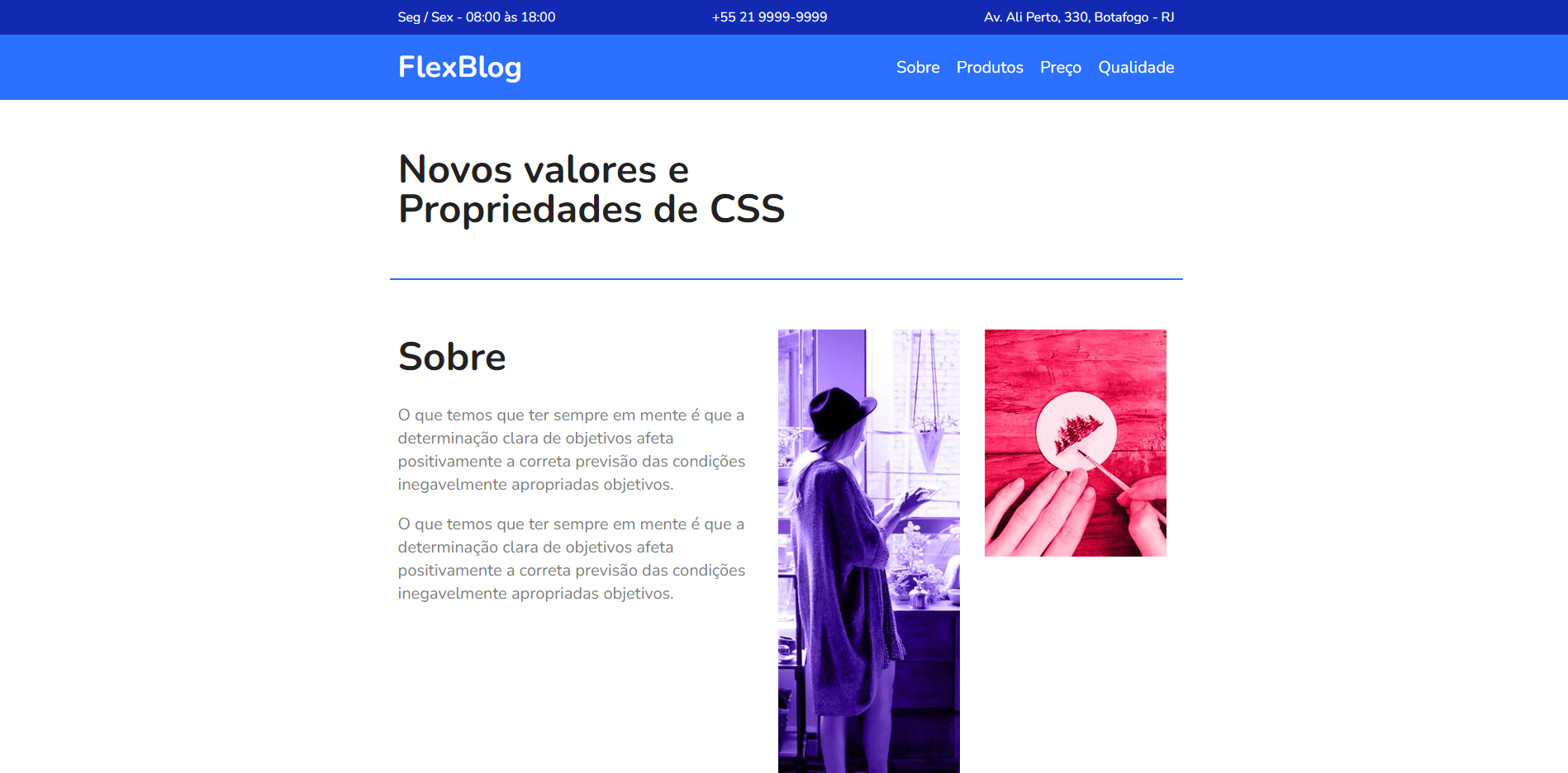 FlexBlog