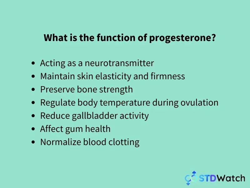 function-of-progesterone