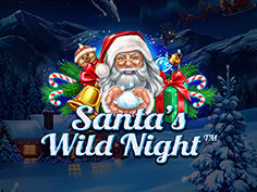 Santa’s Wild Night