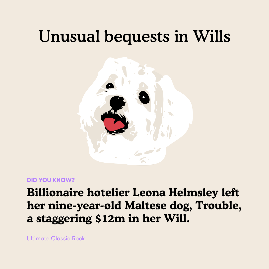 18 - Unusual bequest $12m dog inheritance.png