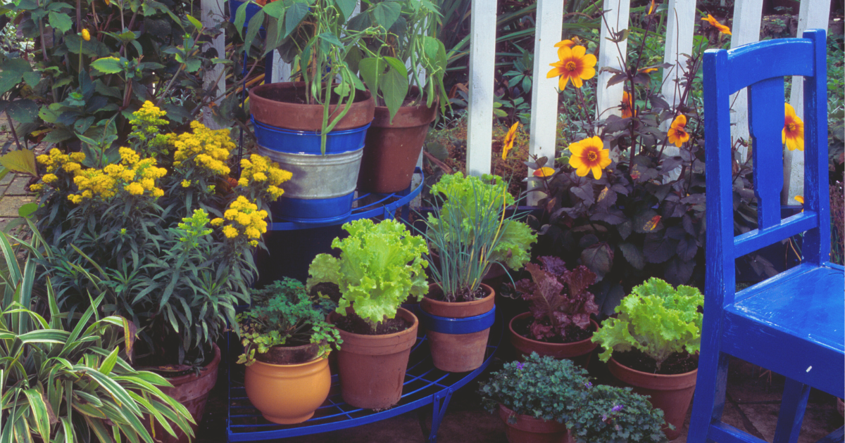 Raise Containers to Improve Drainage.png