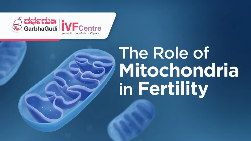 How to Boost Mitochondrial Health for Better Fertility Outcomes