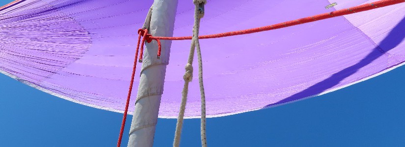 3583-IMG_8383-ter-825x301.jpg