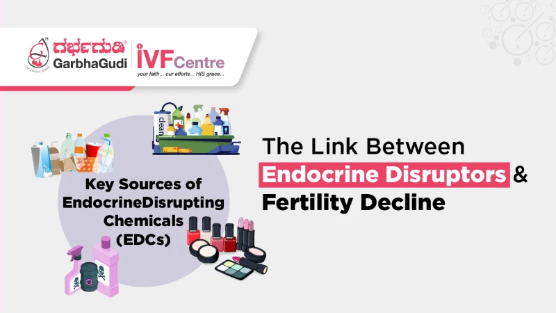 The Link Between Endocrine Disruptors and Fertility Decline