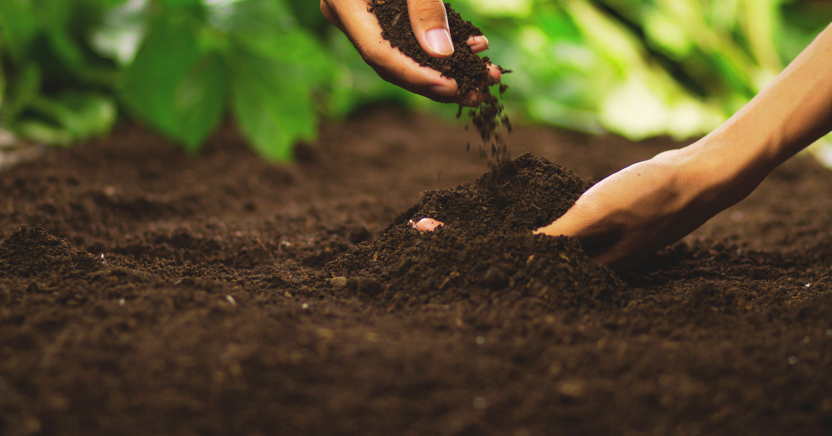 Preparing Soil for June Planting.png
