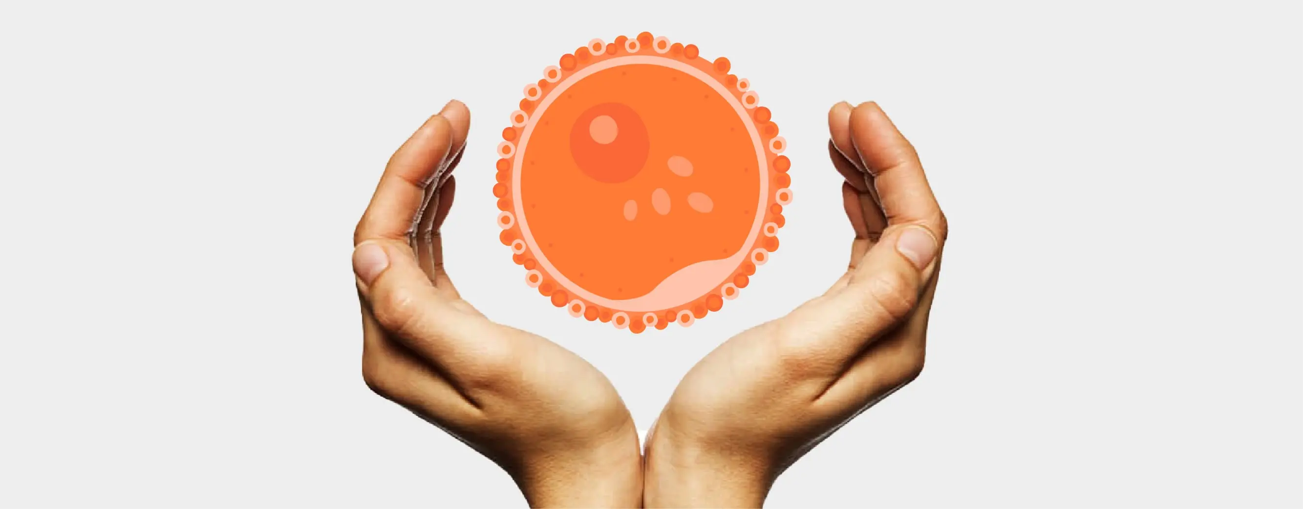frozen-embryo-transfer-in-bangalore