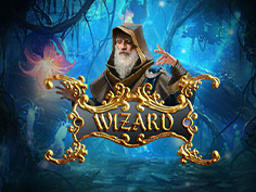 Wizard