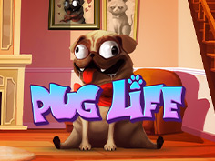 Pug Life