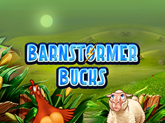 Barnstormer Bucks