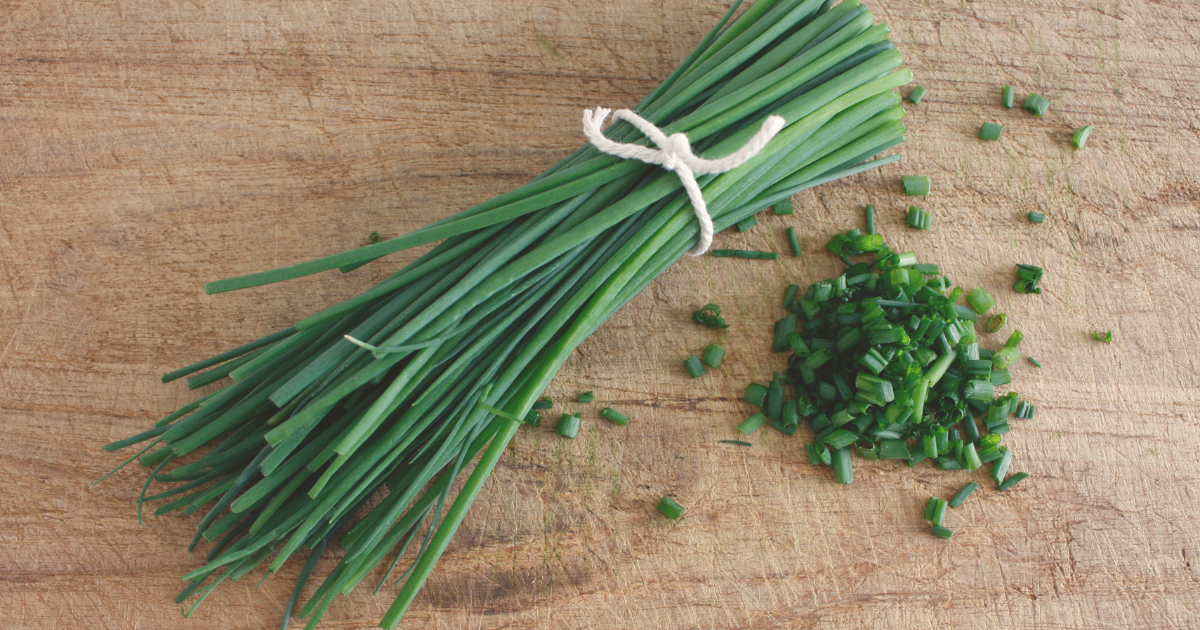 CHIVES.png
