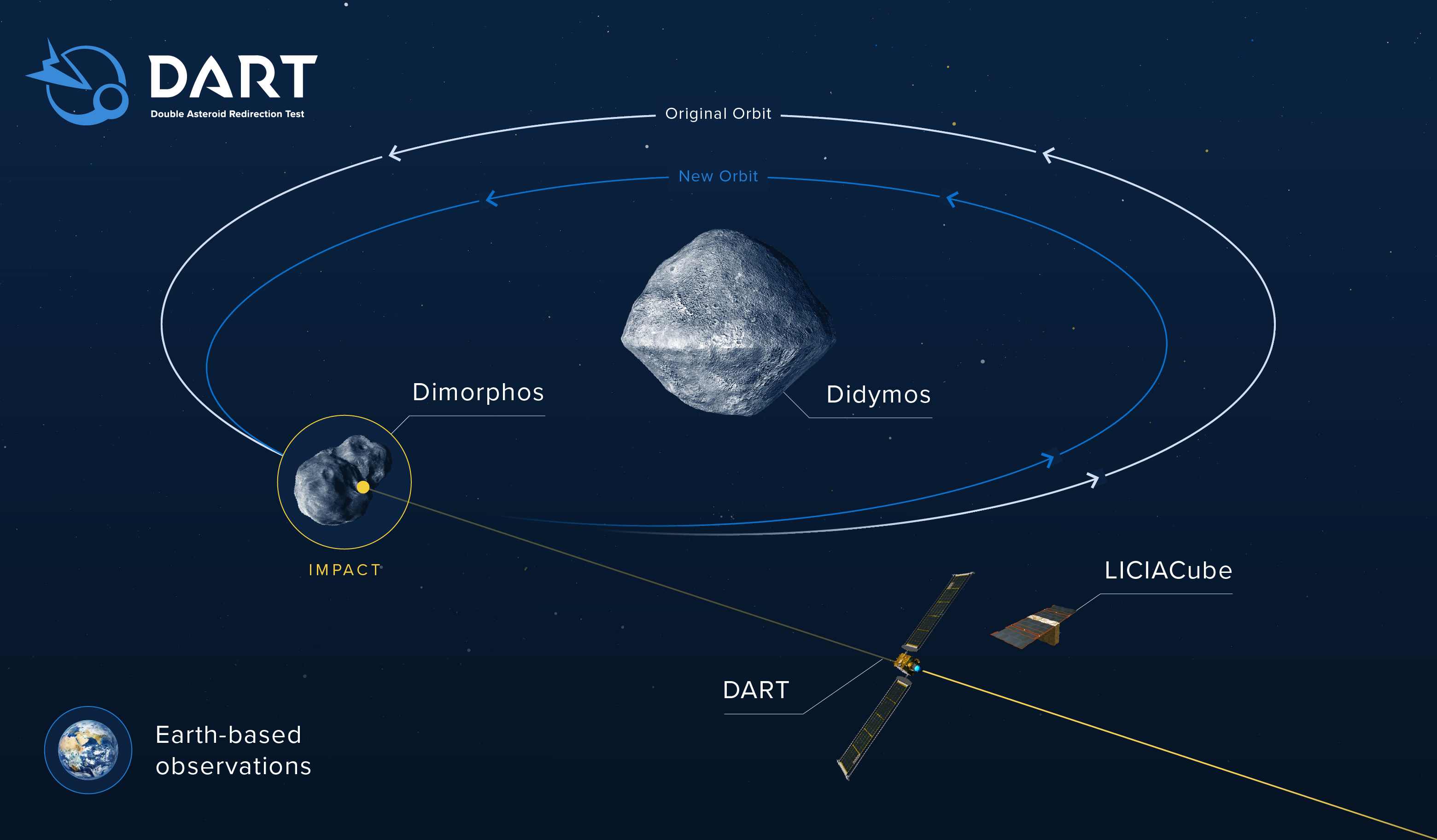 DART-infographic_v4.jpg