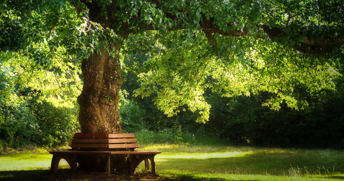 wooden-bench.png