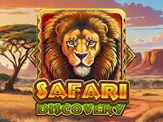 Safari Discovery