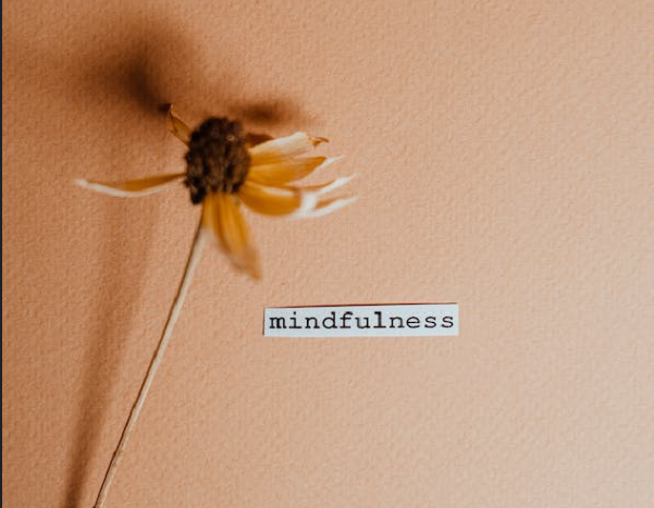 Mindfulness : Emotional dysregulation, Intensity and Avoidance