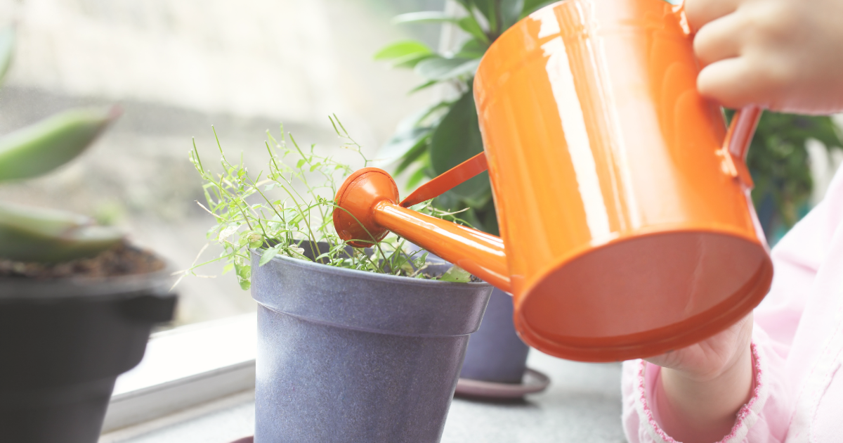 Watering and Fertilizing Tips.png