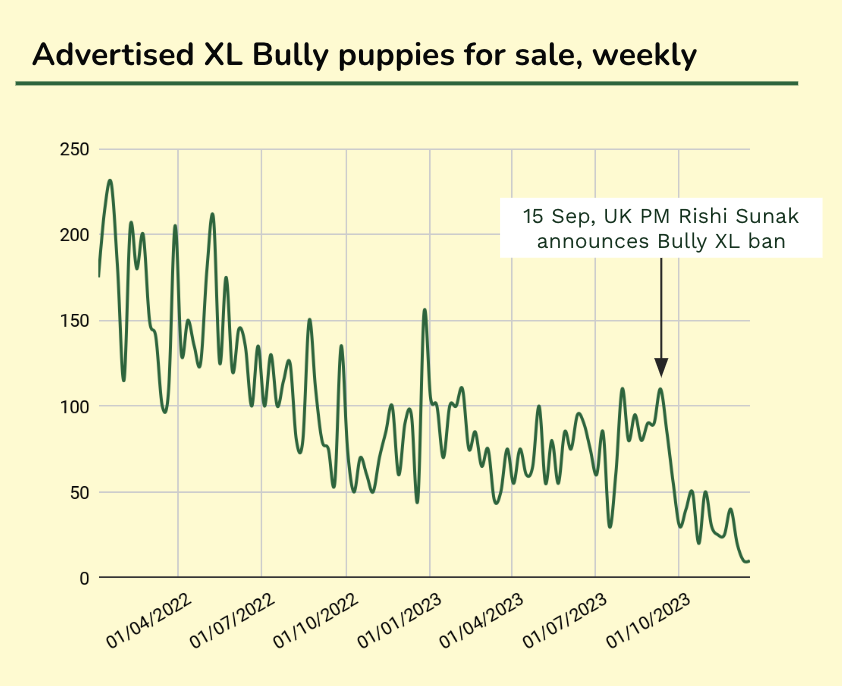 Advertised XL Bully puppies, weekly.png