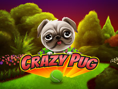 Crazy Pug