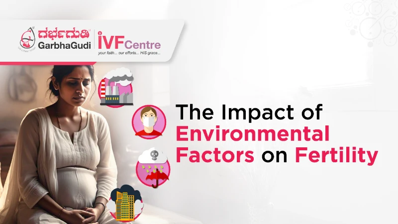 The Impact of Environmental Factors on Fertility