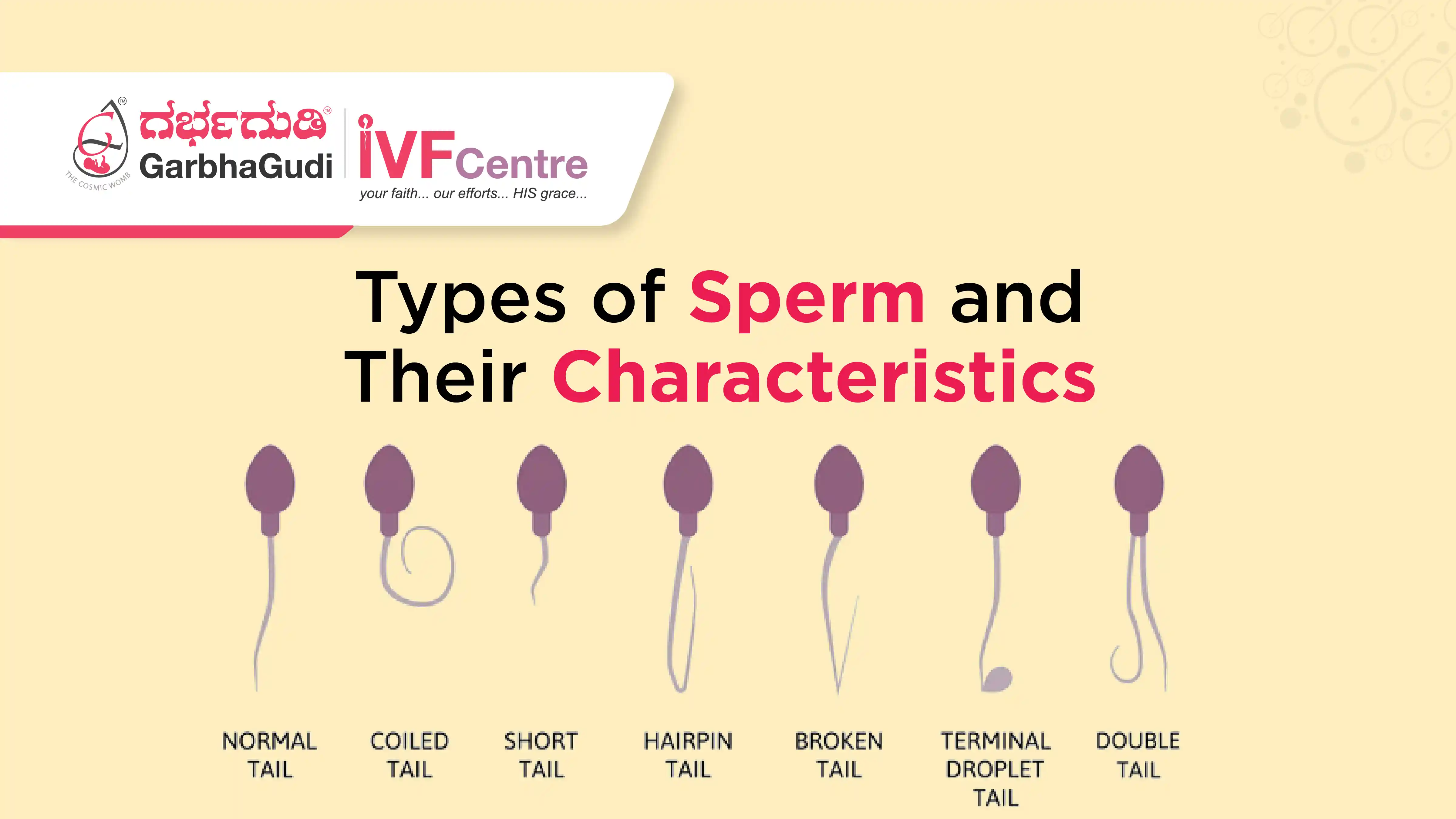 Different Types of sperm and their characteristics 