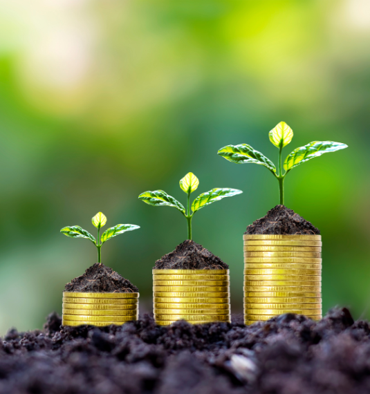 Three stacks of gold coins going up in height, with a small green plant sprouting from each one.